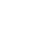 Seospiders